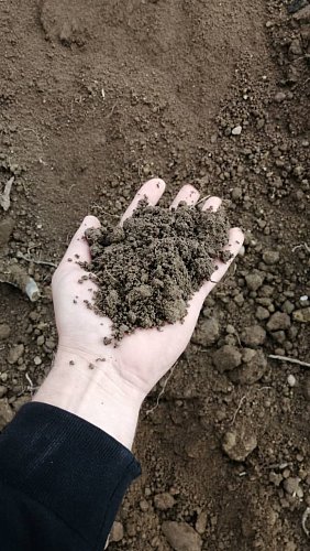 Растительный грунт с доставкой минск